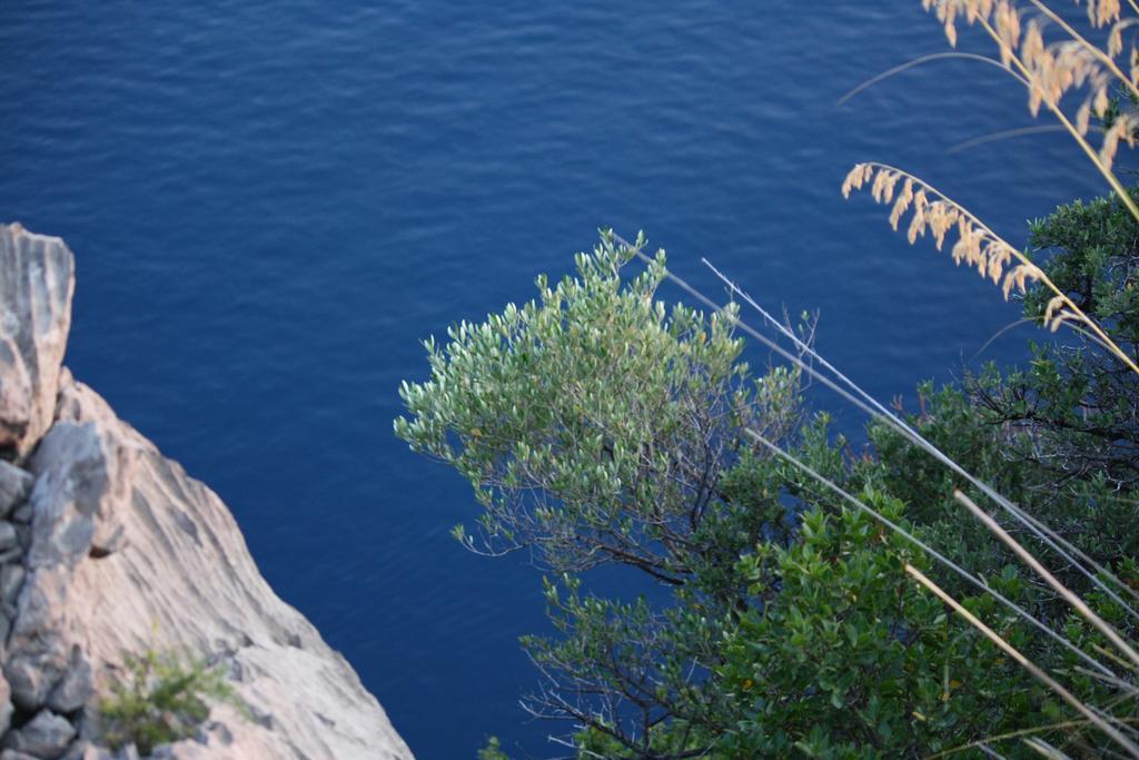 B&B Calandrella Maratea Εξωτερικό φωτογραφία