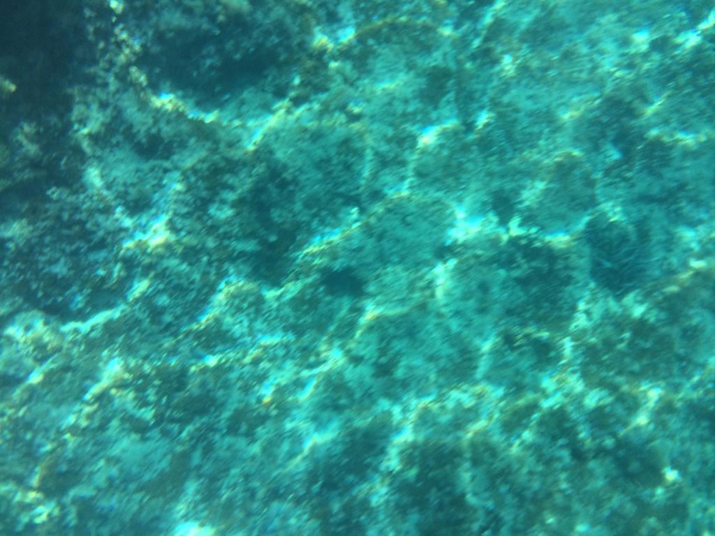 B&B Calandrella Maratea Εξωτερικό φωτογραφία