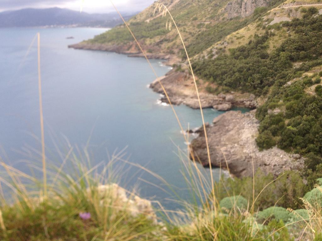 B&B Calandrella Maratea Εξωτερικό φωτογραφία