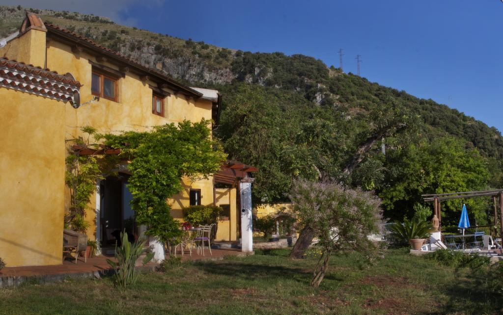 B&B Calandrella Maratea Εξωτερικό φωτογραφία