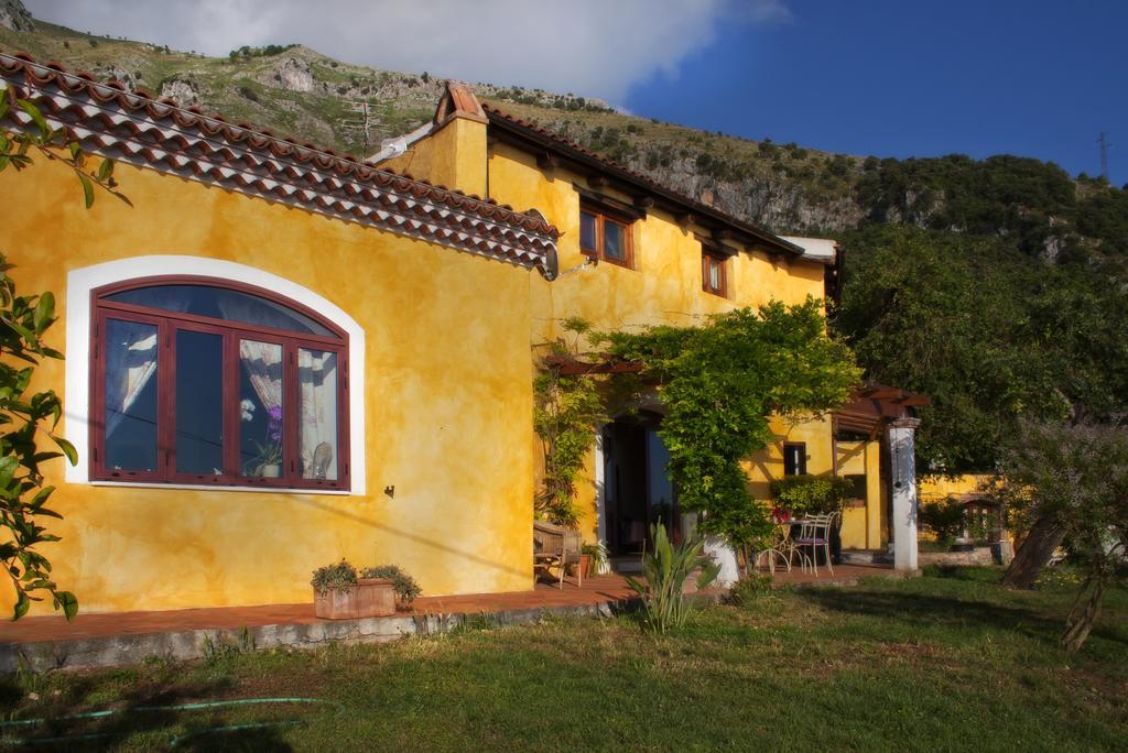 B&B Calandrella Maratea Δωμάτιο φωτογραφία