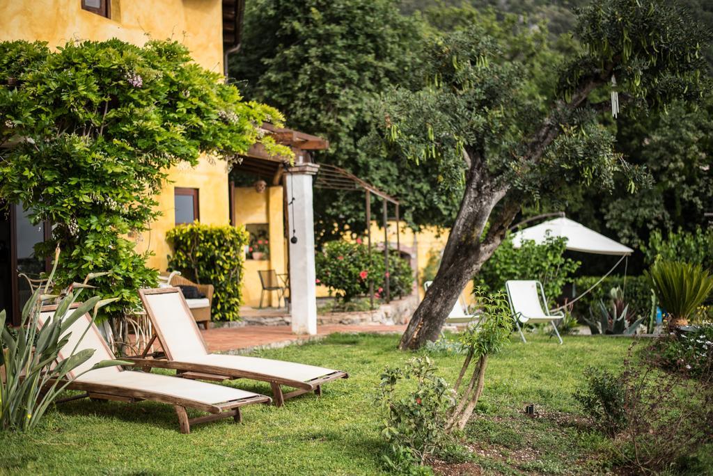 B&B Calandrella Maratea Εξωτερικό φωτογραφία