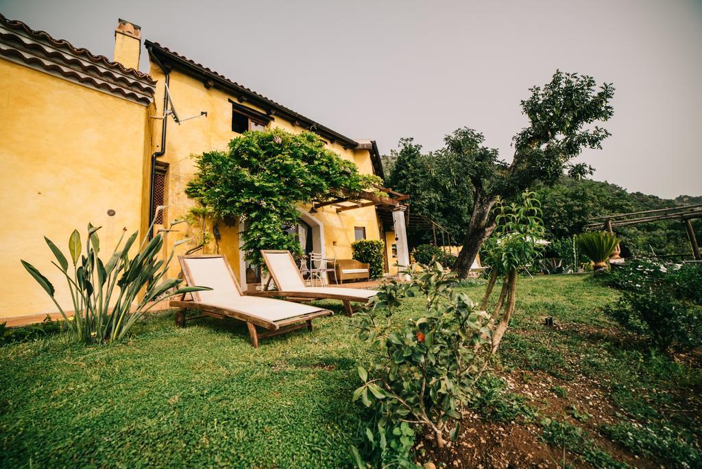 B&B Calandrella Maratea Εξωτερικό φωτογραφία