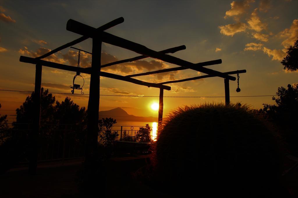 B&B Calandrella Maratea Εξωτερικό φωτογραφία